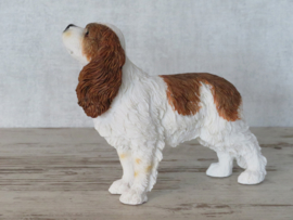 beeldje Cavalier King Charles spaniel blenheim