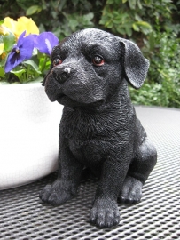 beeldje Labrador zwart puppy