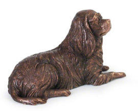 asbeeld/urn (gedeelte as) Cavalier King Charles spaniel 24 cm