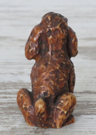 miniatuur Poedel bruin