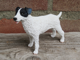 beeldje Jack Russell ruwhaar wit-zwart