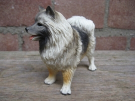 beeldje Keeshond