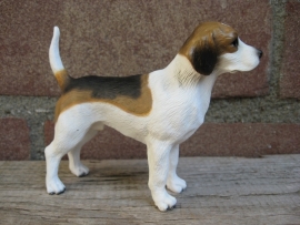 beeldje Beagle