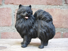 beeldje Dwergkeeshond zwart