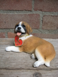 beeldje Sint Bernardhond puppy