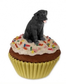 pupcake Labrador zwart