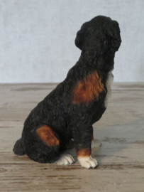 beeldje Berner Sennenhond zittend