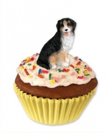 pupcake Berner Sennenhond