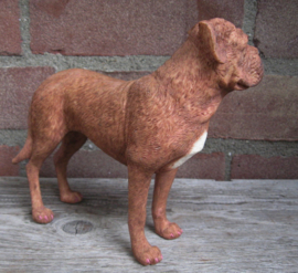 beeldje Bordeaux Dog