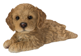 beeldje Cockapoo puppy