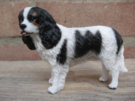 beeldje Cavalier King Charles spaniel tricolour