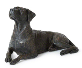 asbeeld/urn Rhodesian Ridgeback | 43 cm