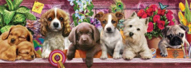 panorama puzzel Puppies 1000 stukjes