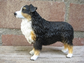 beeldje Australian Shepherd tricolour