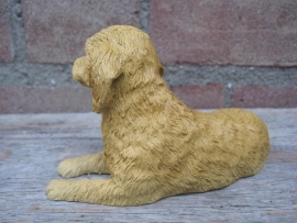 beeldje Goldendoodle