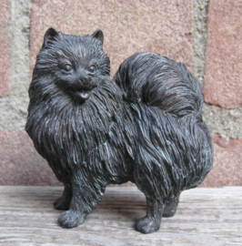 beeldje Dwergkeeshond wit