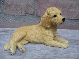 beeldje Goldendoodle