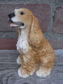 beeldje Amerikaanse Cocker spaniel