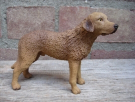 beeldje Chesapeake Bay Retriever