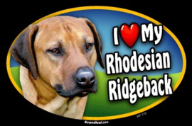 magnetische sticker Rhodesian Ridgeback 15 cm