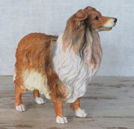 beeldje Schotse Collie staand