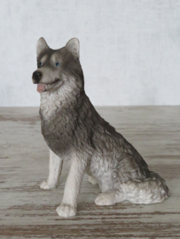 beeldje Husky zittend