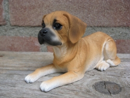 beeldje Puggle