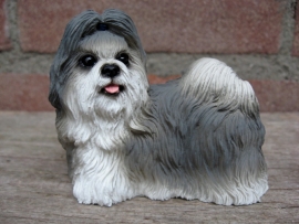 beeldje Shih Tzu grijs