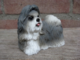 beeldje Shih Tzu grijs