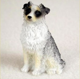 miniatuur Australian Shepherd blue merle