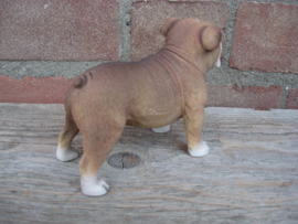 beeldje Engelse Bulldog