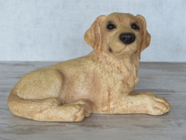 vintage beeld Labrador blond | 22,5 cm
