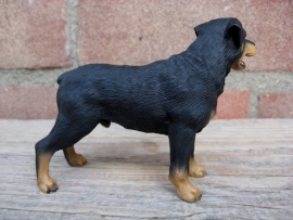 beeldje Rottweiler staand