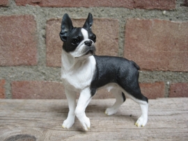 beeldje Boston Terrier staand