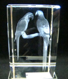 3D laserblokje / glasblokje papegaaien