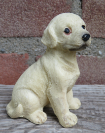 beeldje zittende blonde Labrador puppy