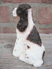 beeldje Engelse Springer spaniel zittend