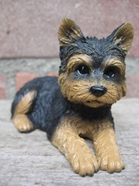 beeldje Yorkshire Terrier puppy