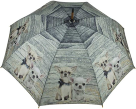 paraplu Chihuahua korthaar