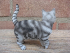 Kattenbeeldje / poezenbeeldje zilver tabby staand