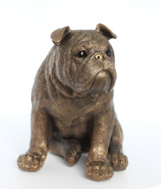 beeldje Engelse Bulldog bronskleur