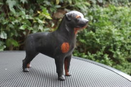 beeld Rottweiler