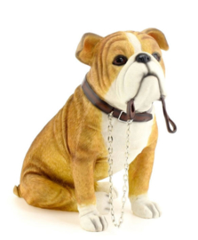 beeldje Engelse Bulldog met riem zittend