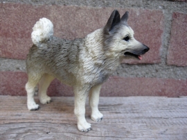 beeldje Noorse Elandhond / Elkhound