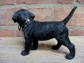 beeldje Labrador zwart met riem staand