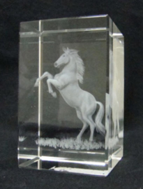 3D laserblokje / glasblokje paard