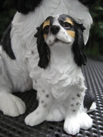 beeld Cavalier King Charles met pup tricolour