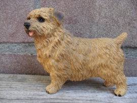 beeldje Norfolk Terrier