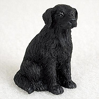 miniatuur Flatcoated Retriever