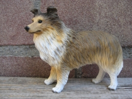 beeldje Sheltie sable